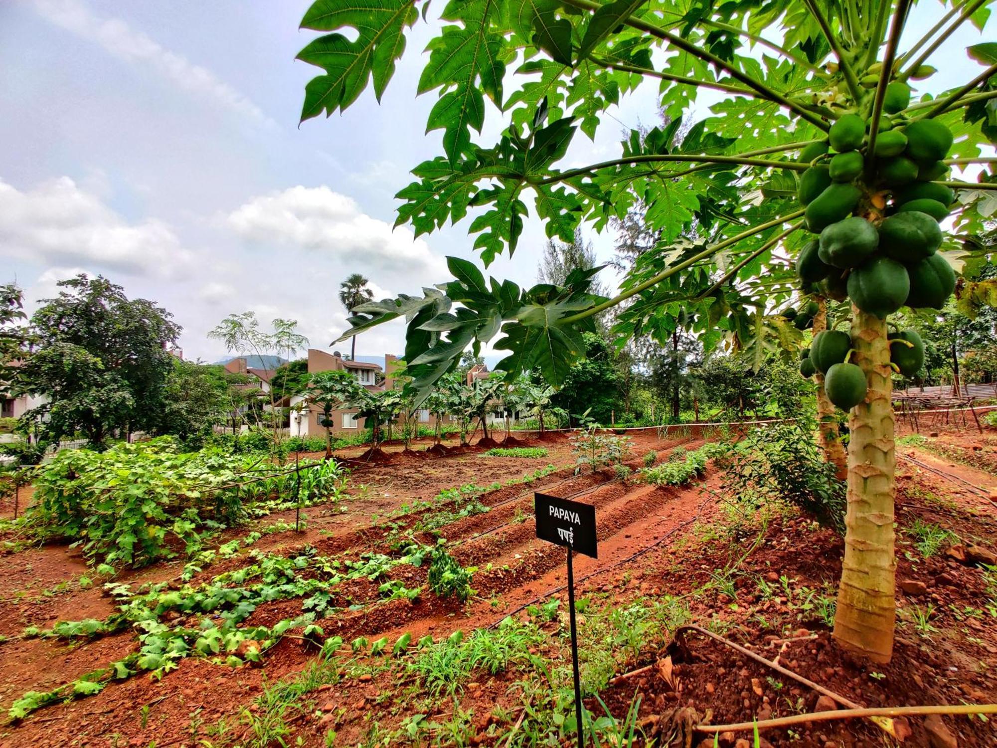 Pushpam Sanskruti Resort Karjat - A Pure Veg Resort Dhamni Buitenkant foto