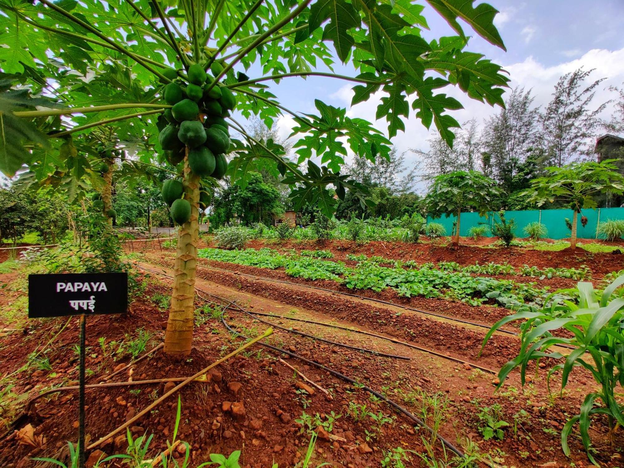 Pushpam Sanskruti Resort Karjat - A Pure Veg Resort Dhamni Buitenkant foto
