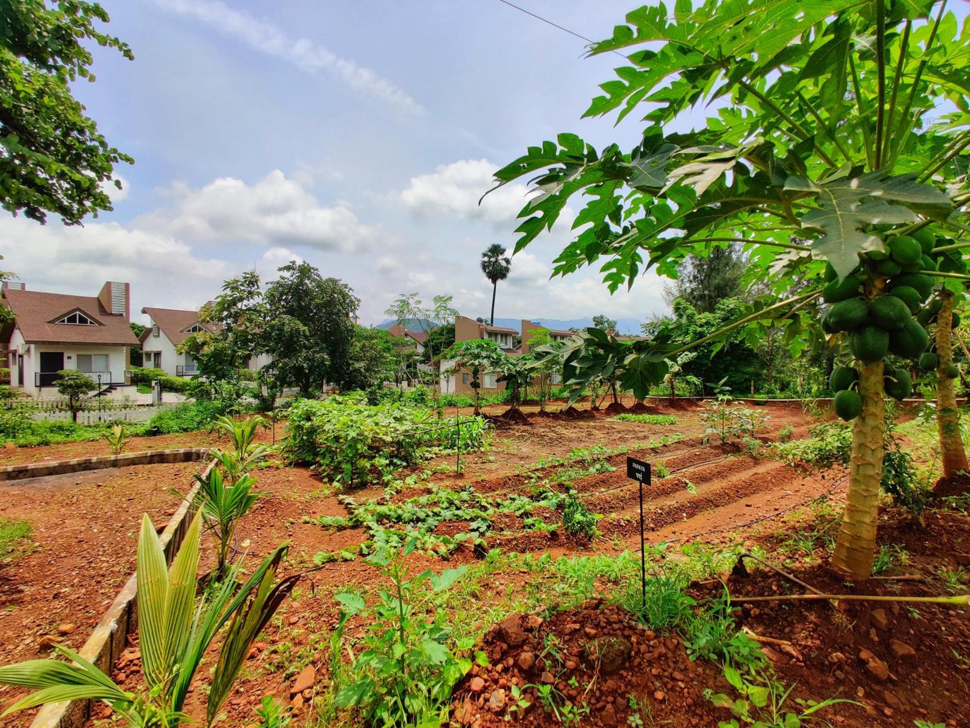 Pushpam Sanskruti Resort Karjat - A Pure Veg Resort Dhamni Buitenkant foto